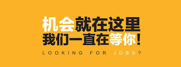 招聘 OrderProcessing/Customer Service/Administrative Accounting Assistant